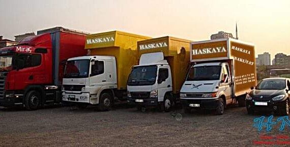 68331c20 ff03 48c6 a7f5 9af81e643d14