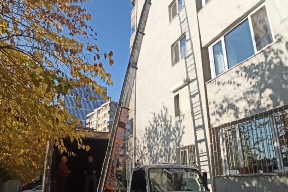 79cf5ad3 e4cb 4d1e 94c0 a255c74ad1ef